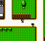 Pocket Lure Boy (Japan) In game screenshot